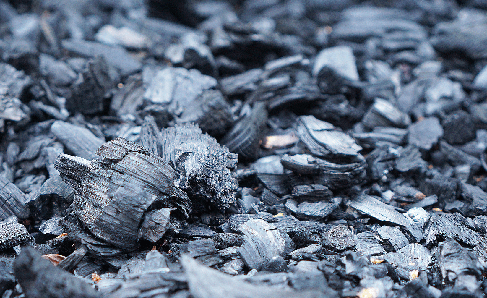 Example Biochar carbon removal project